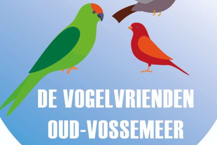 thoolse vogelquiz
