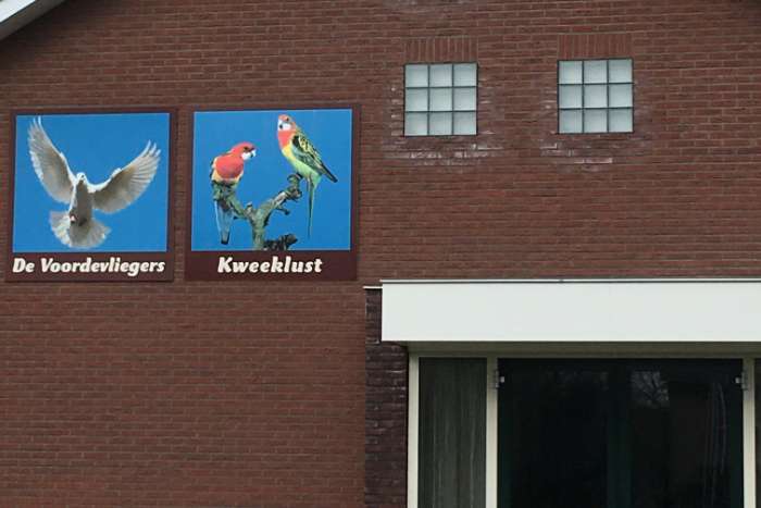 centraal in nederland
