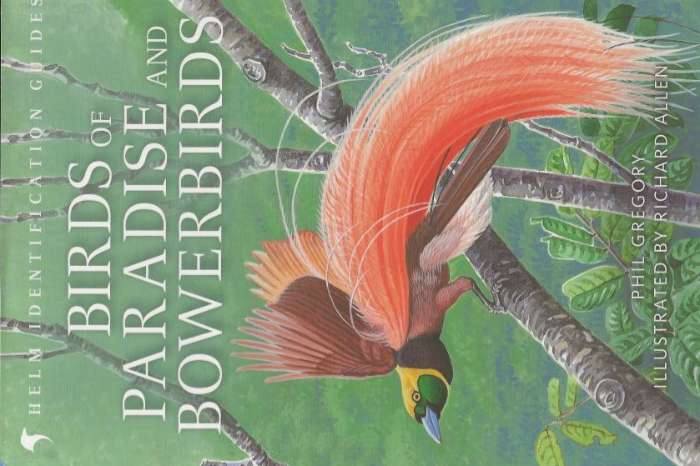 birds of paradise and bowerbirds – an identification guide