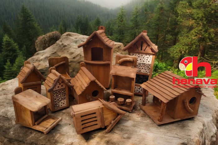 help de lokale vogelpopulatie!