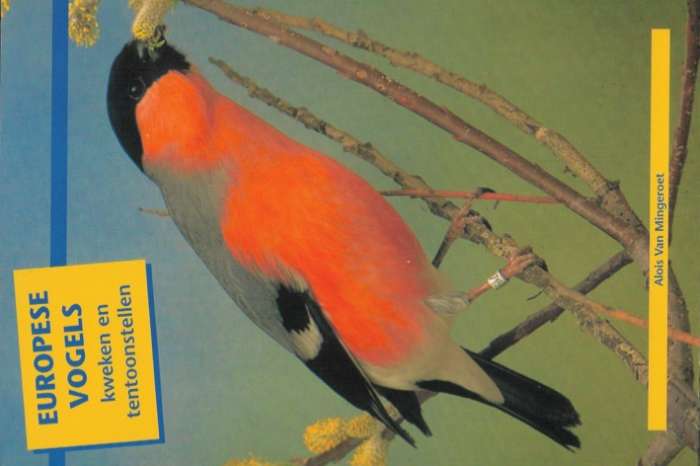 europese vogels kweken en tentoonstellen