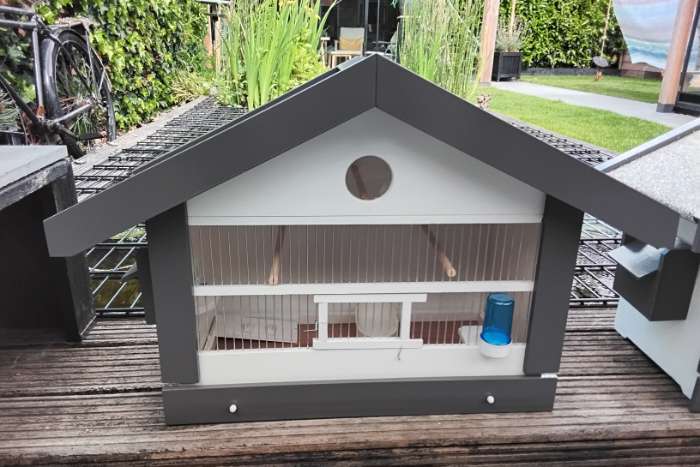 vogel kooien zang kooien