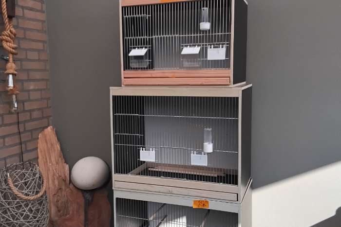 vogel kooien broedkooien