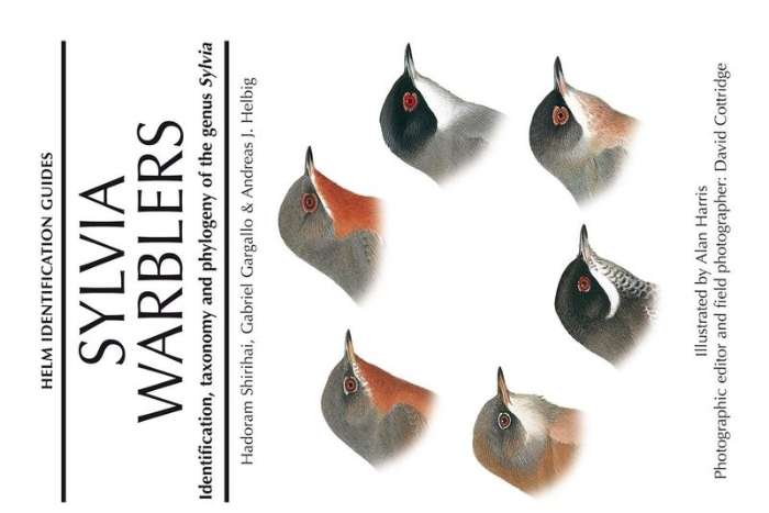 sylvia warblers : identification, taxonomy and phylogeny of the